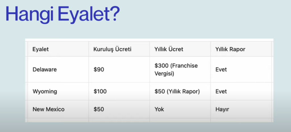 Amerika’da Şirket Nasıl Kurulur? Shopify, Dropshipping-Pasif Gelir